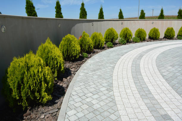 Best Driveway Paving Company  in Penn Valley, CA